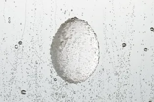 Безотходное производство: как использовать воду, в которой варились яйца Безотходное производство: как использовать воду, в которой варились яйца