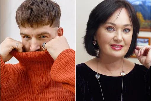 «Альфа-самка, доминируйте! Умоляю!»: Лариса Гузеева получила дерзкое предложение «Альфа-самка, доминируйте! Умоляю!»: Лариса Гузеева получила дерзкое предложение