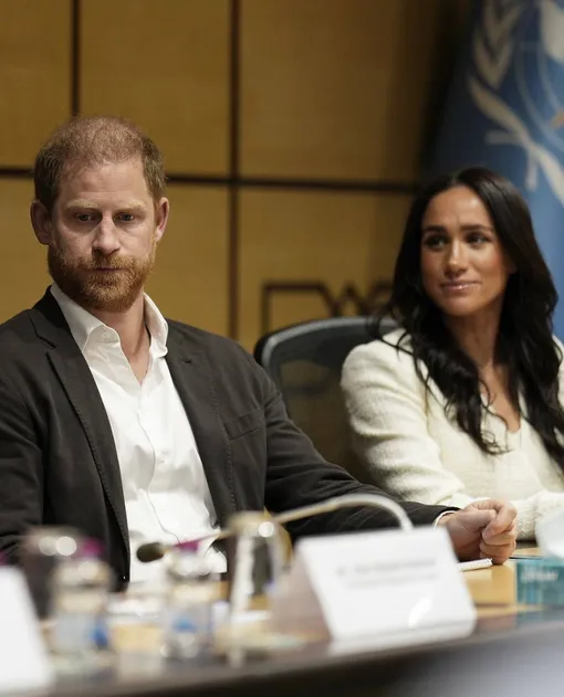 Принц Гарри и Меган Маркл на круглом столе ВОЗ