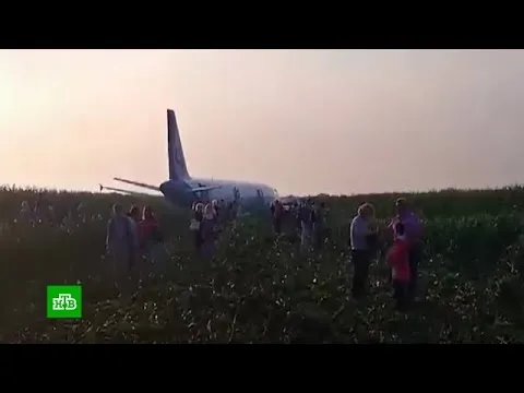 Нажми и смотри