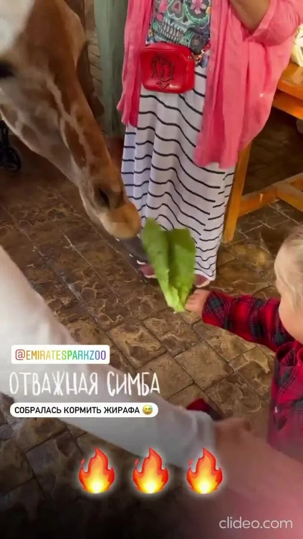 Нажми и смотри Нажми и смотри