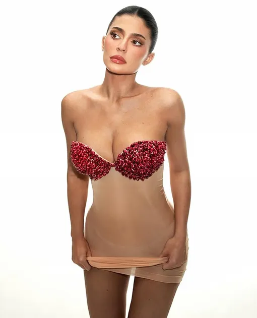 Кайли Дженнер в гранатовом бюстье