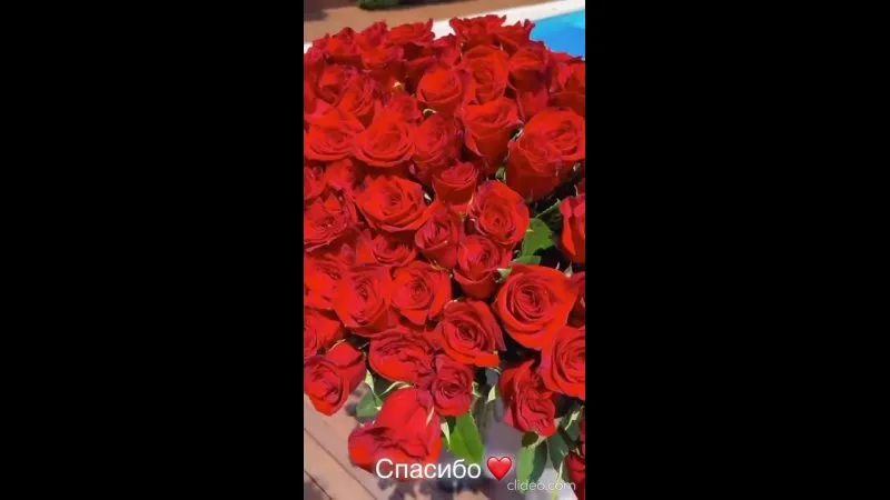 Нажми и смотри