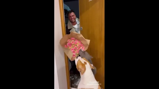 Нажми и смотри Нажми и смотри