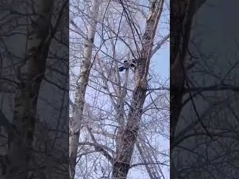 Нажми и смотри
