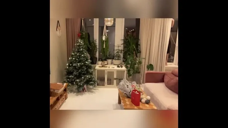 Нажми и смотри Нажми и смотри
