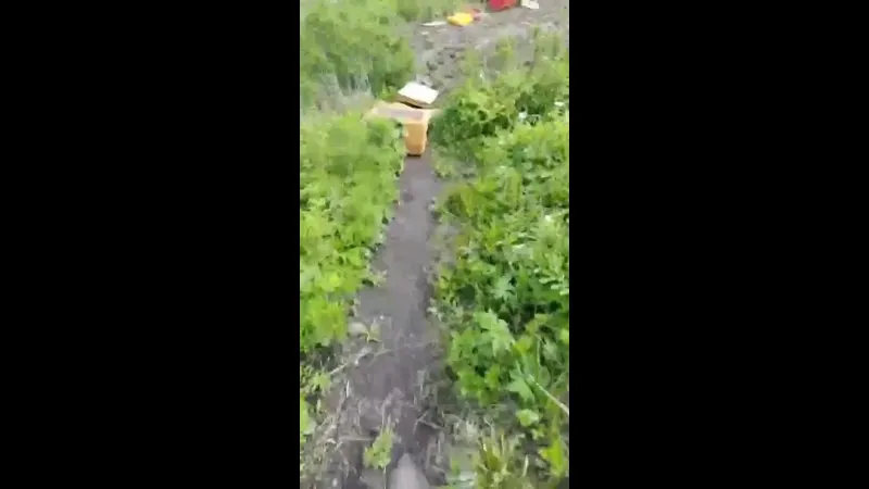 Нажми и смотри Нажми и смотри