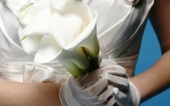 Важные жизненные правила от жены голландца