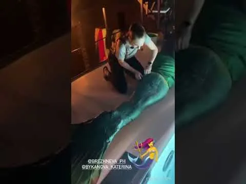 Нажми и смотри Нажми и смотри