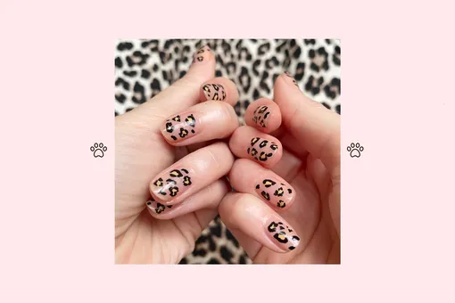 Ногти леопарда: самый простой способ сделать этот трендовый маникюр дома Ногти леопарда: самый простой способ сделать этот трендовый маникюр дома