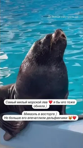 Нажми и смотри