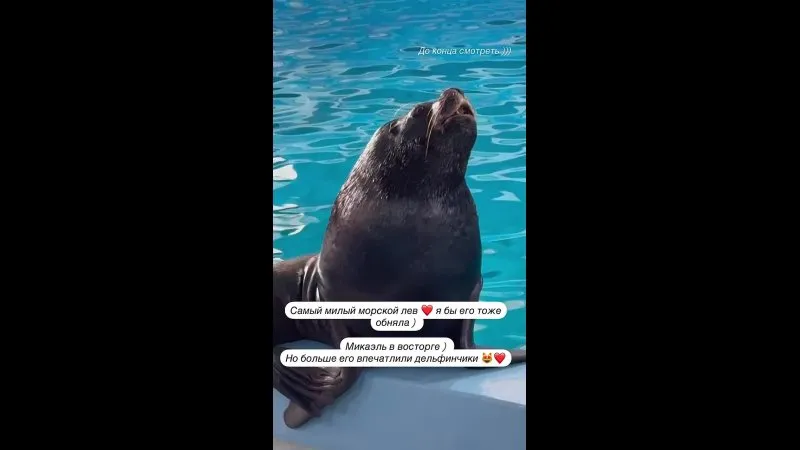 Нажми и смотри Нажми и смотри