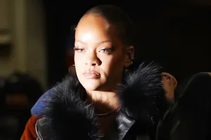 Девушка обстреляла из винтовки особняк Рианны, когда в нем находилась певица Девушка обстреляла из винтовки особняк Рианны, когда в нем находилась певица