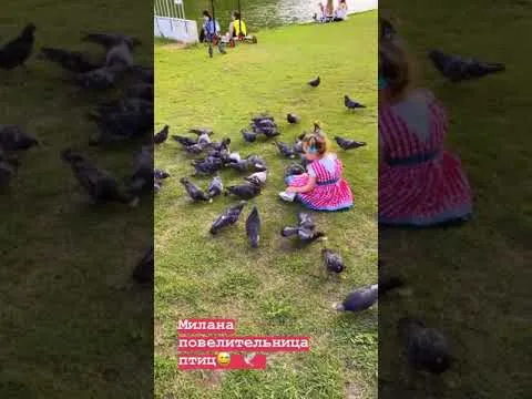 Нажми и смотри Нажми и смотри