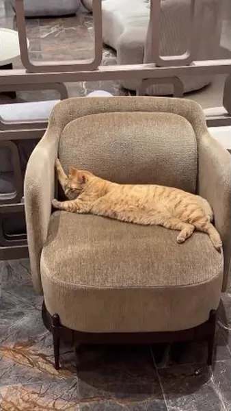 Нажми и смотри