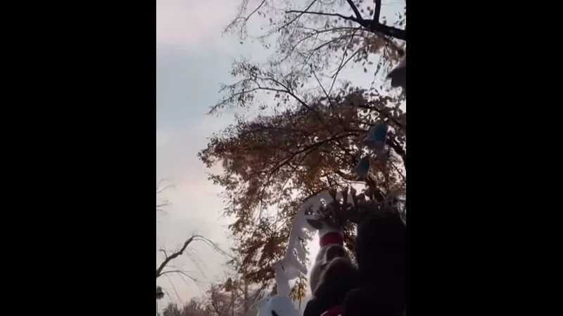 Нажми и смотри Нажми и смотри