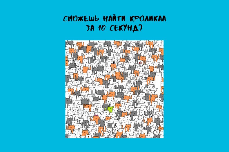 Найдешь кролика за 10 секунд? Это удается лишь двум людям из 10!