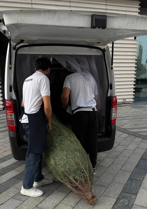 Анна Заворотнюк намекнула на то, что в Дубае готовятся к Новому году Анна Заворотнюк намекнула на то, что в Дубае готовятся к Новому году
