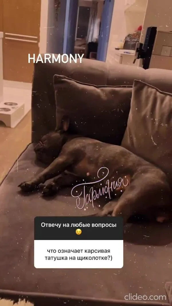 Нажми и смотри Нажми и смотри