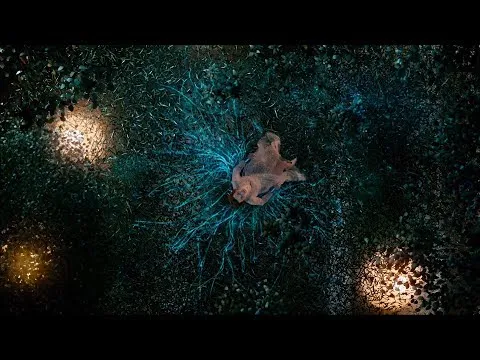 Нажми и смотри Нажми и смотри
