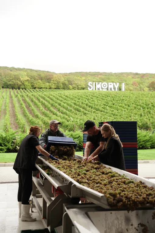 Имение «Сикоры»