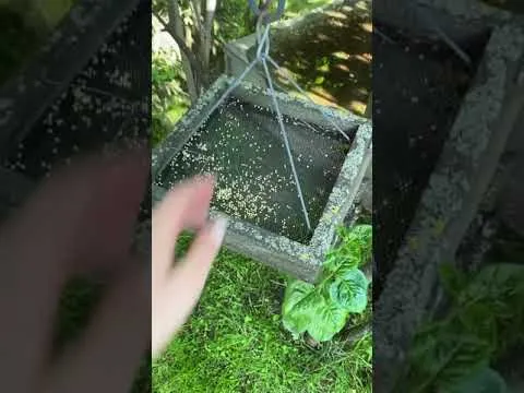 Нажми и смотри Нажми и смотри