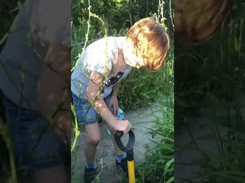 Нажми и смотри Нажми и смотри