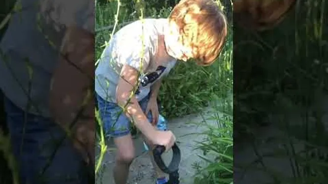 Нажми и смотри Нажми и смотри