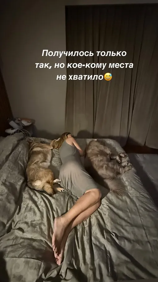 Собаки Ольги Орловой спят в кровати