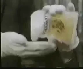 Нажми и смотри Нажми и смотри
