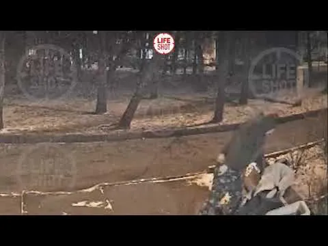 Нажми и смотри