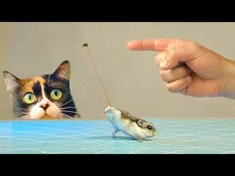 Нажми и смотри Нажми и смотри