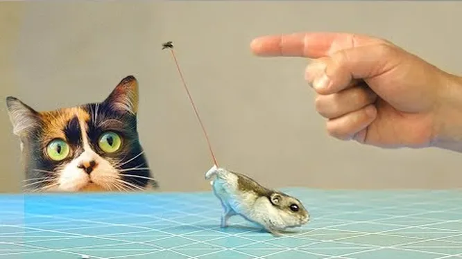 Нажми и смотри