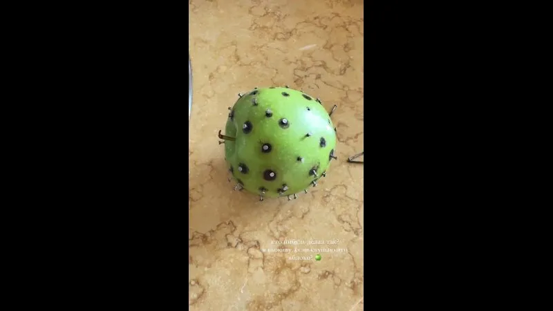 Нажми и смотри Нажми и смотри
