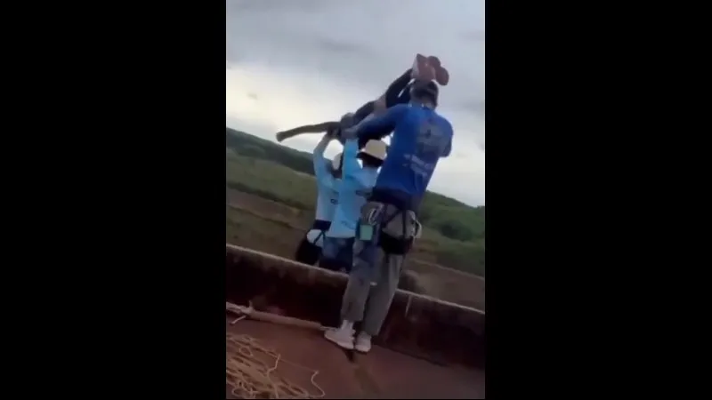 Нажми и смотри Нажми и смотри