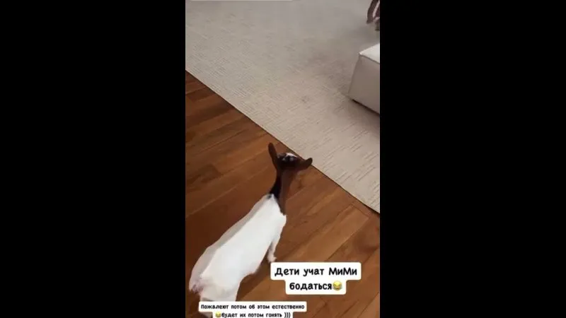 Нажми и смотри Нажми и смотри