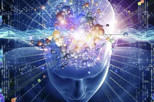 27 и 28 февраля в Петербурге состоится фестиваль знаний BRAINFEST 27 и 28 февраля в Петербурге состоится фестиваль знаний BRAINFEST