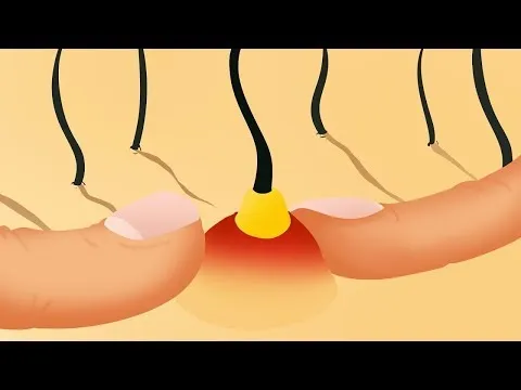 Нажми и смотри Нажми и смотри