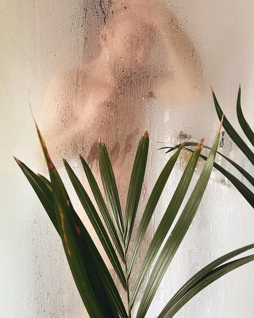 Дмитрий потроллил своего преемника