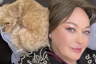 «Я неуверенная и такая молодая»: Лариса Гузеева показала редкое фото, обрадовав звезд Первого канала «Я неуверенная и такая молодая»: Лариса Гузеева показала редкое фото, обрадовав звезд Первого канала