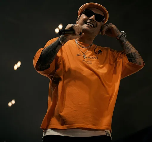 Гуфу грозит срок за грабеж