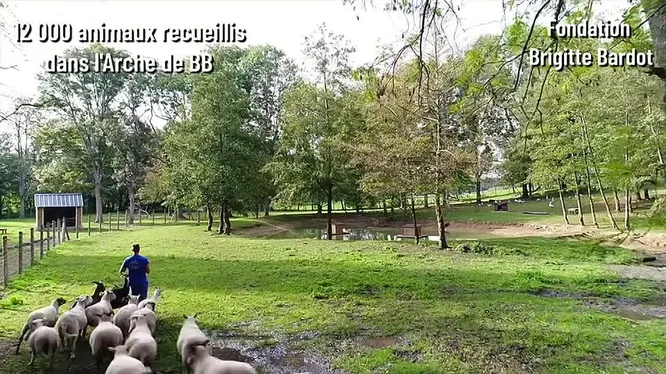 Нажми и смотри