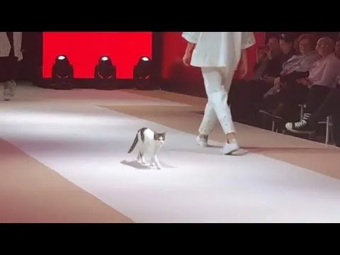 Нажми и смотри