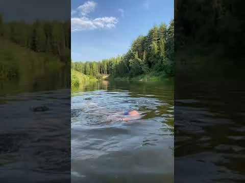 Нажми и смотри Нажми и смотри