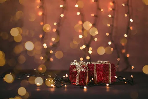 Лучшие подарки на Новый год: спасаем планету и думаем о будущем Лучшие подарки на Новый год: спасаем планету и думаем о будущем