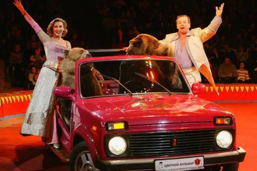 Ольга и Виктор Кудрявцев выступали на арене с медведями Ольга и Виктор Кудрявцев выступали на арене с медведями