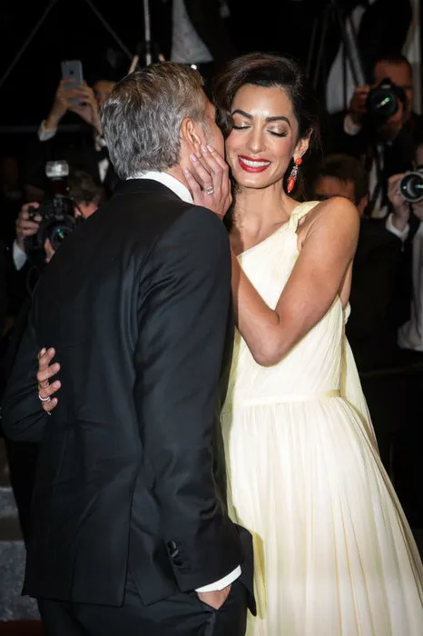 Fotodom / Rex Features