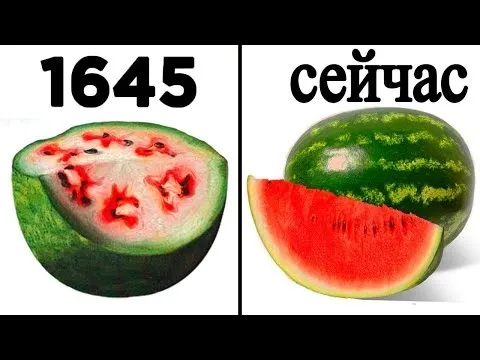 Нажми и смотри