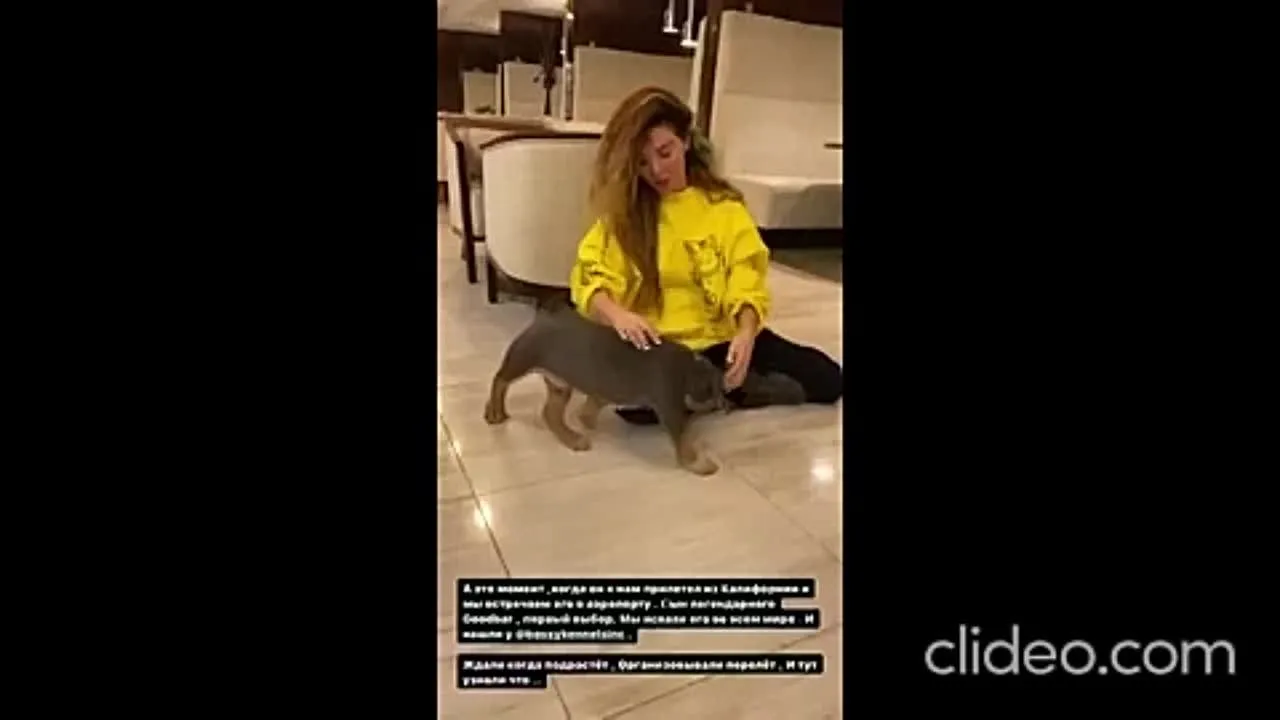 Нажми и смотри Нажми и смотри