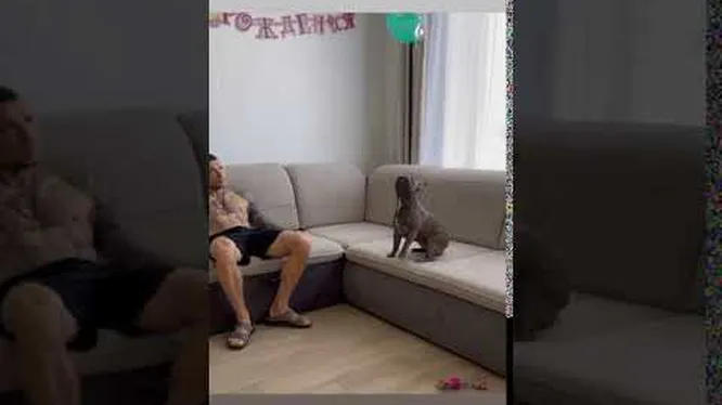 Нажми и смотри